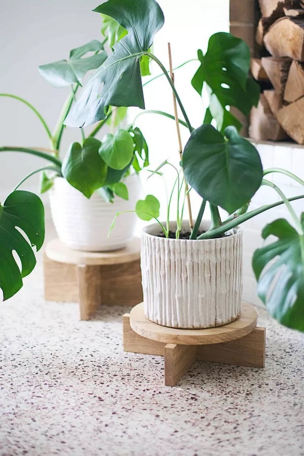Cheap DIY Plant Stand