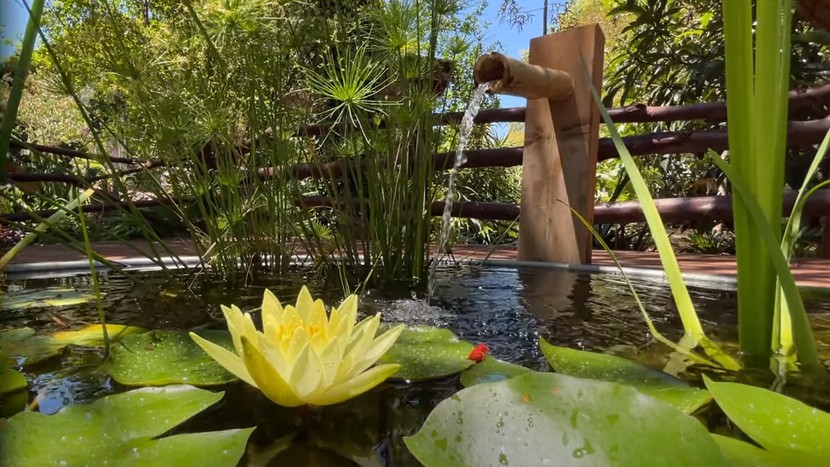 DIY Easy Bamboo Water Fountain