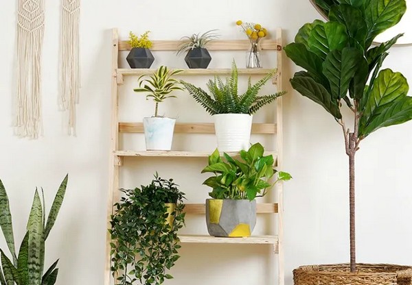 DIY Indoor Plant Stand For Multiple Plants