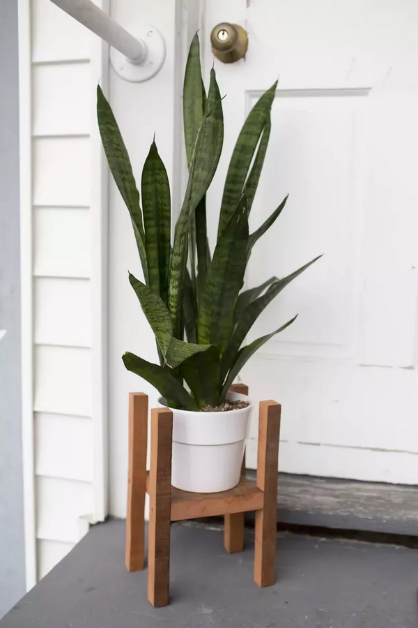 DIY Modern Plant Stand