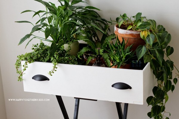 Simple DIY Plant Stand