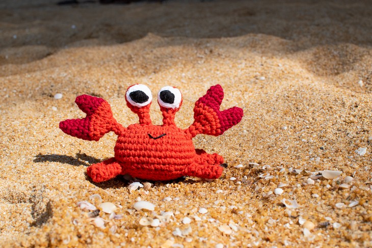 Summer Crab Sebastian