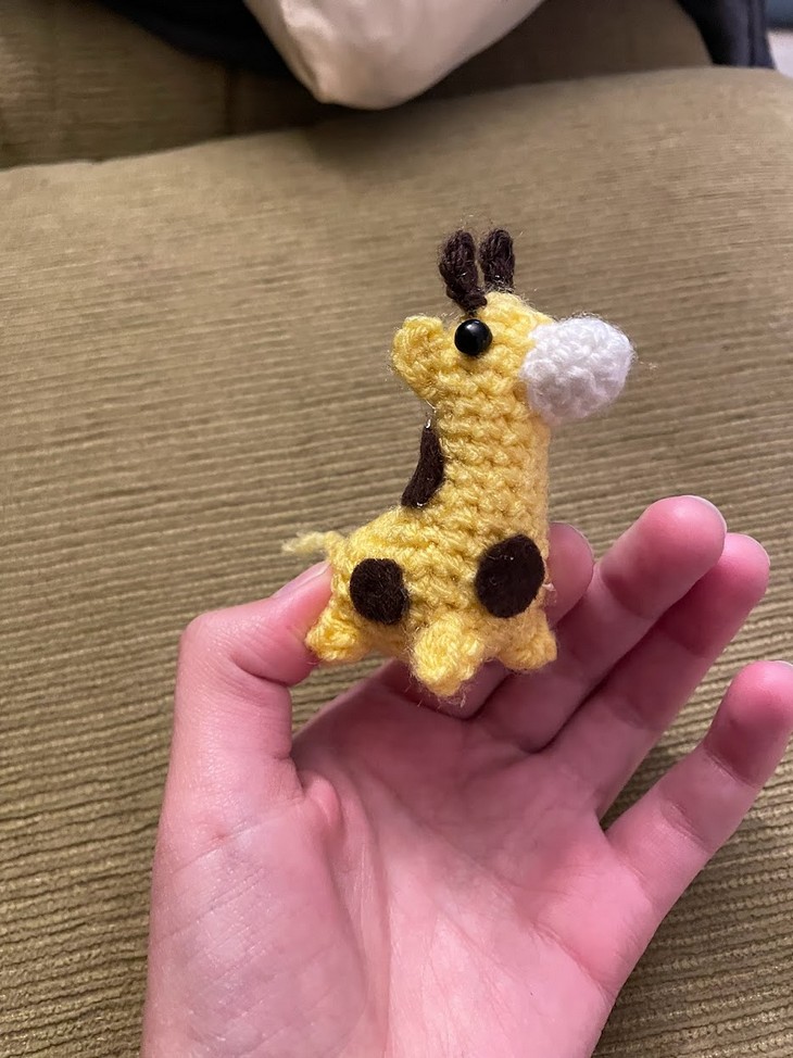 Teeny Tiny Giraffe