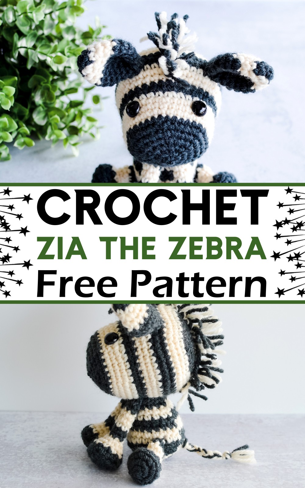 Zia The Zebra