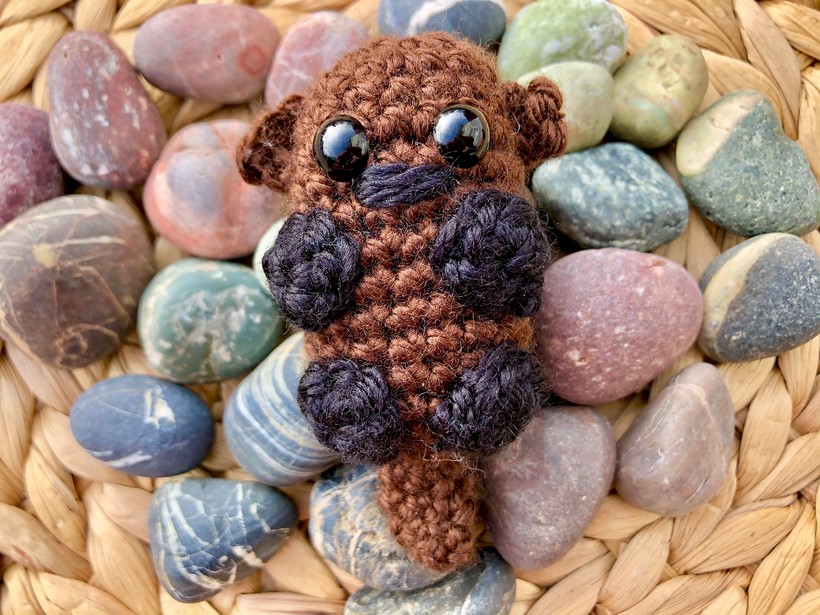 Pocket Hug Oliver Otter
