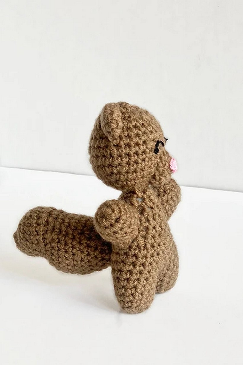 Crochet Donnie The Squirrel Pattern