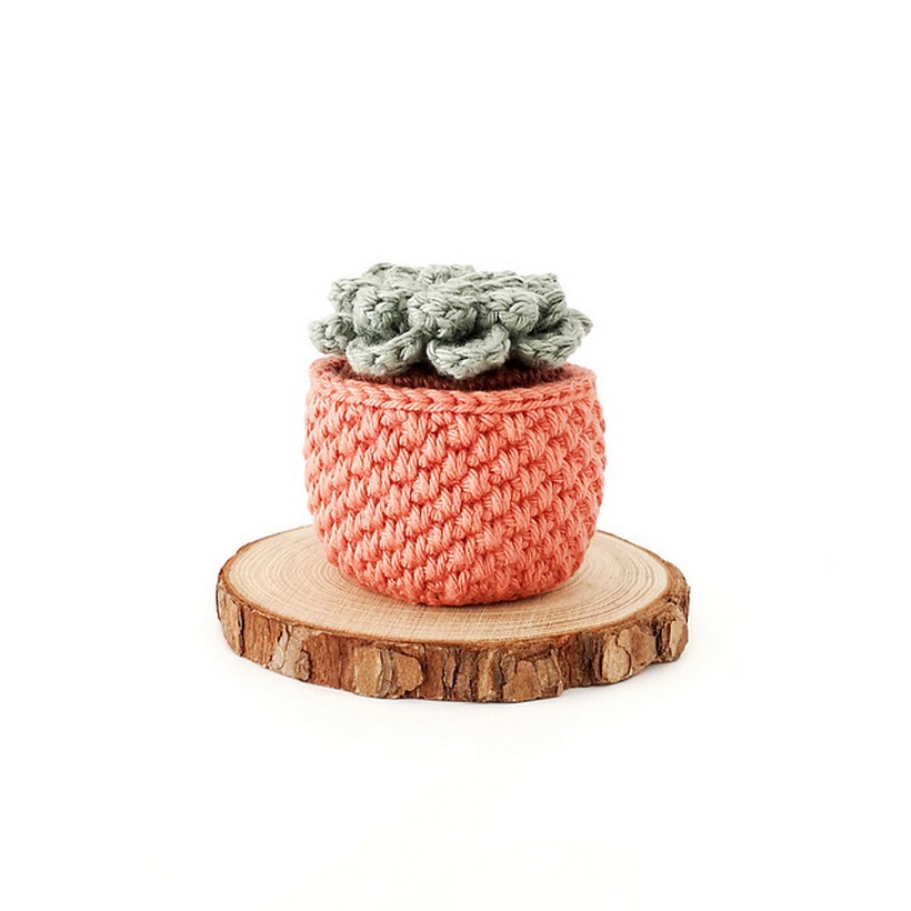 Crochet Succulent Pattern