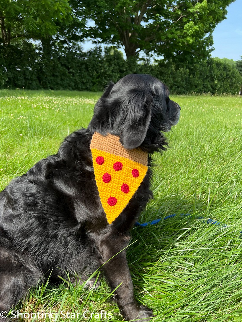 Pizza Bandana For Dogs