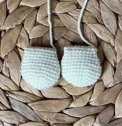 ear