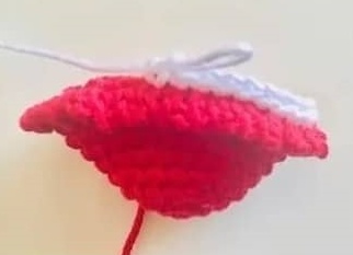Mushroom 1