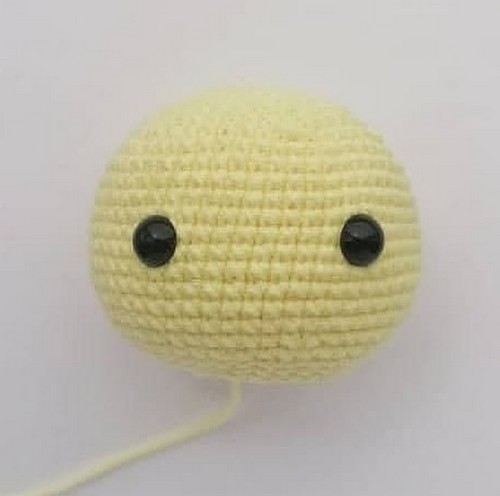 Head