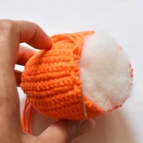 Mini Pumpkin 1