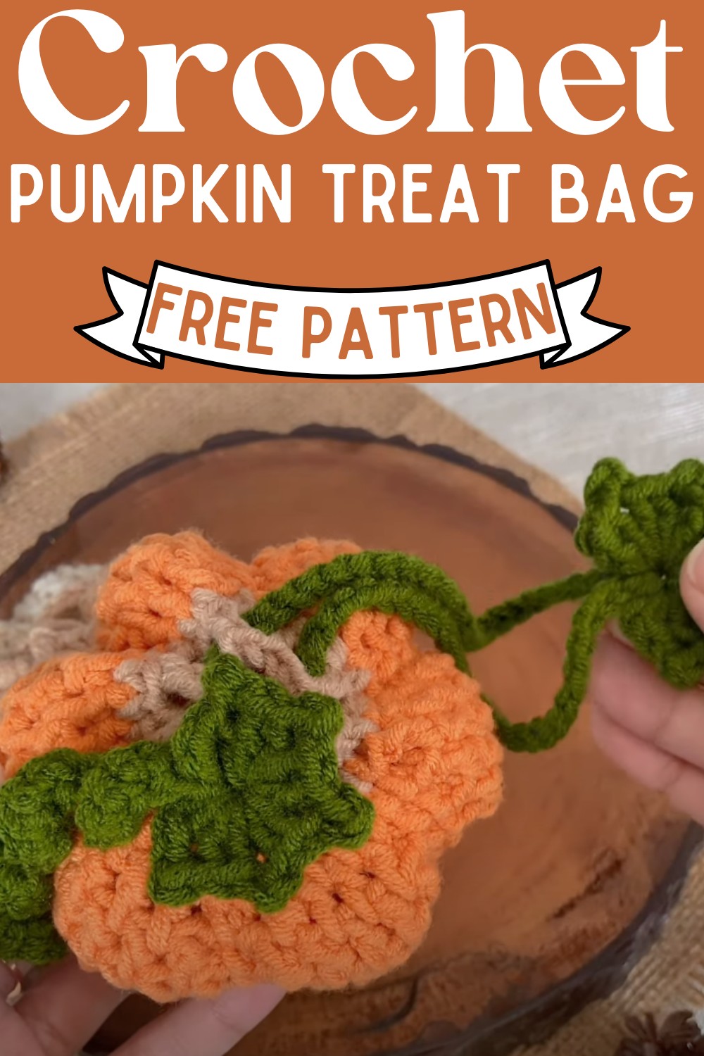 Crochet Pumpkin Treat Bag