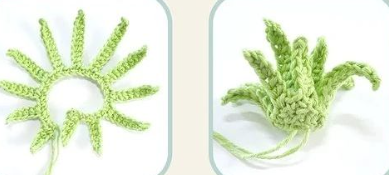 Leaves