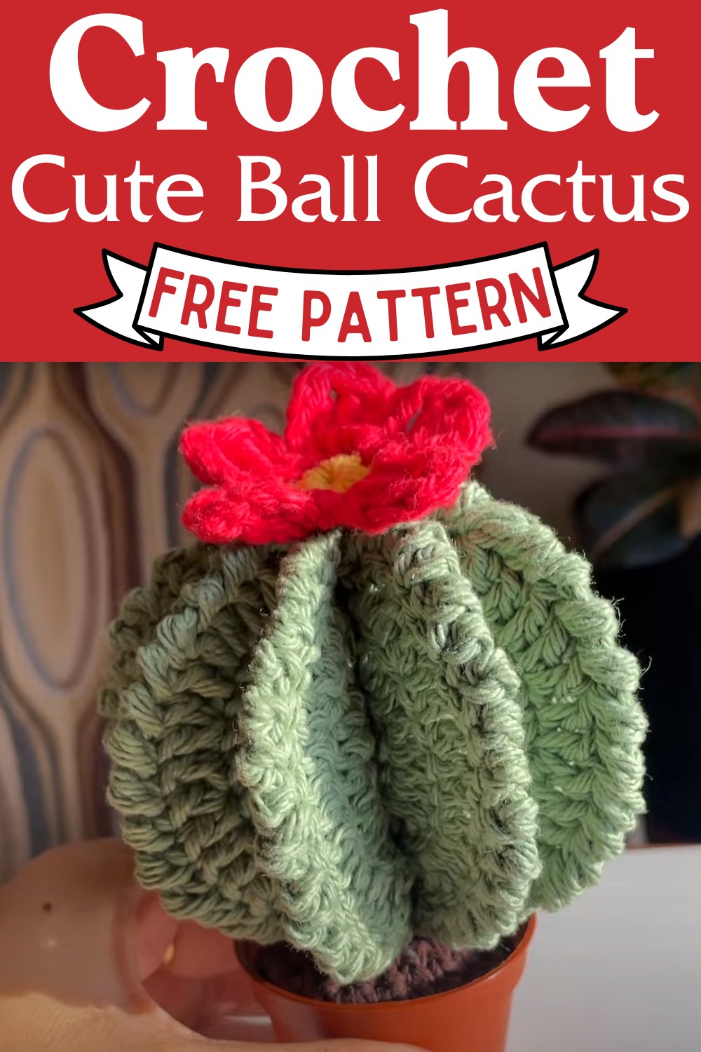 Crochet Cute Ball Cactus Pattern
