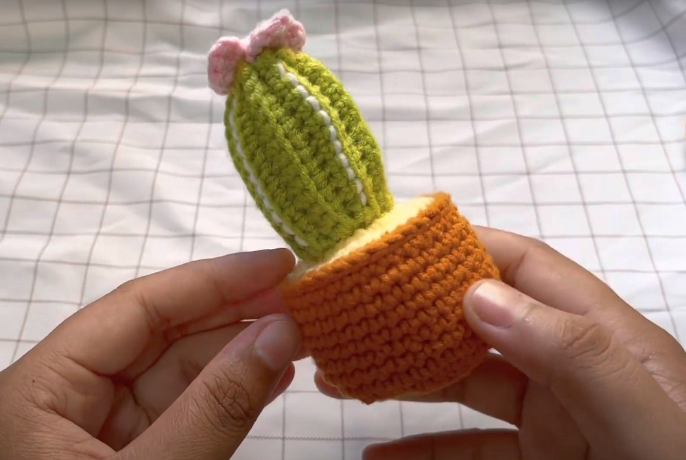 Crochet Cute Cactus Plant Pattern