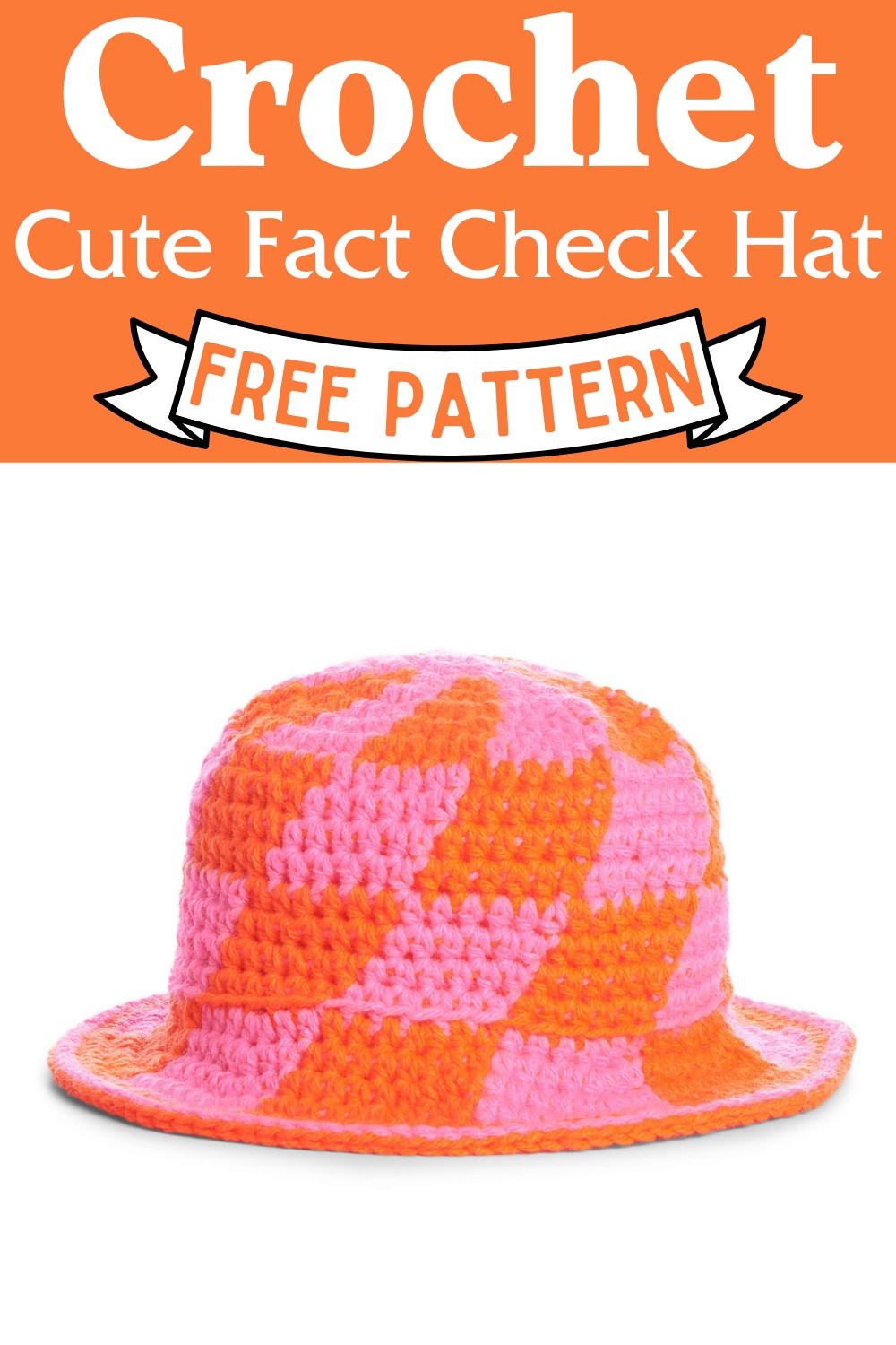 Crochet Cute Fact Check Hat Pattern