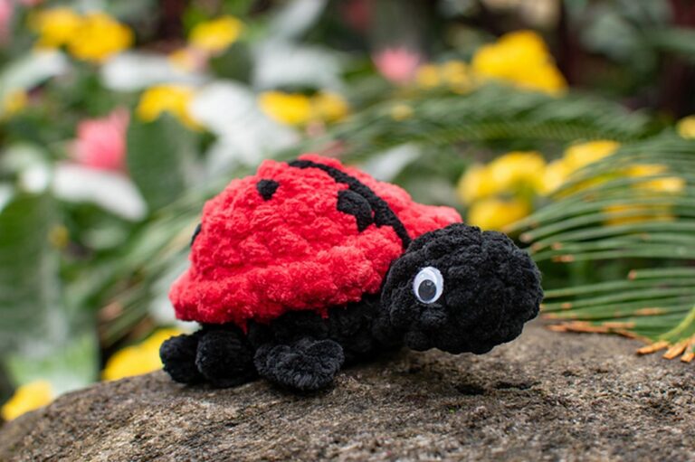 Ladybug