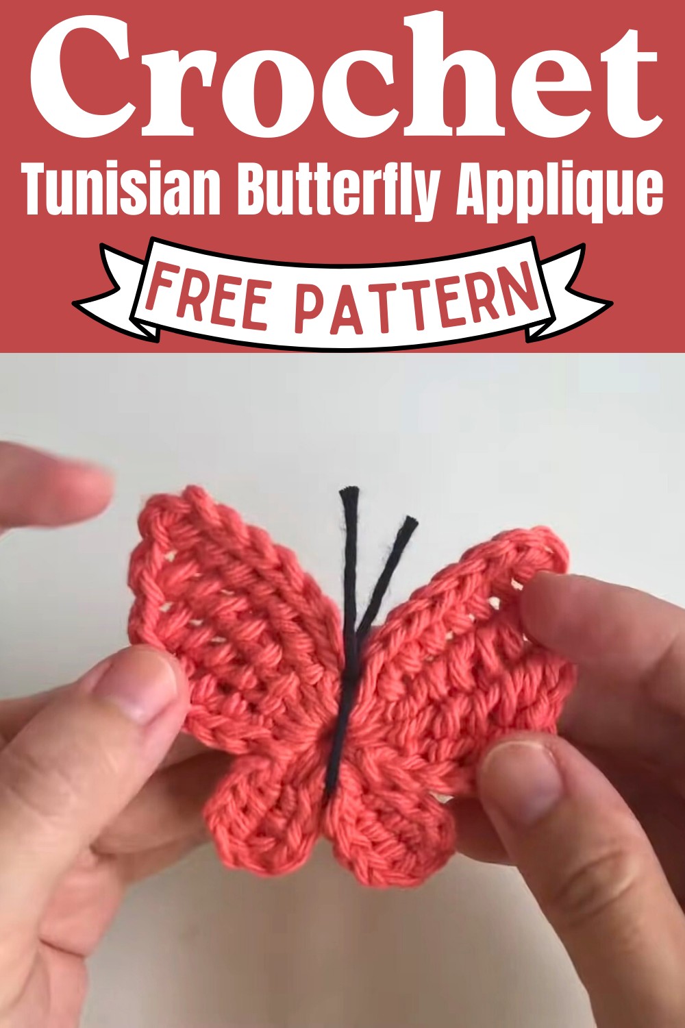 Tunisian Butterfly Applique