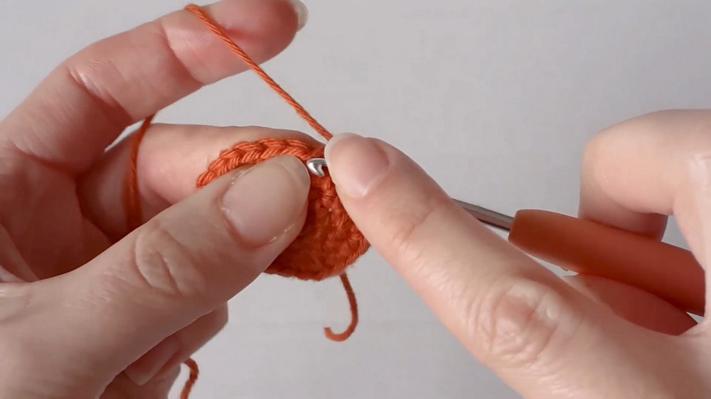 Crochet A Terracotta Pot For Cacti Or Flowers step 2