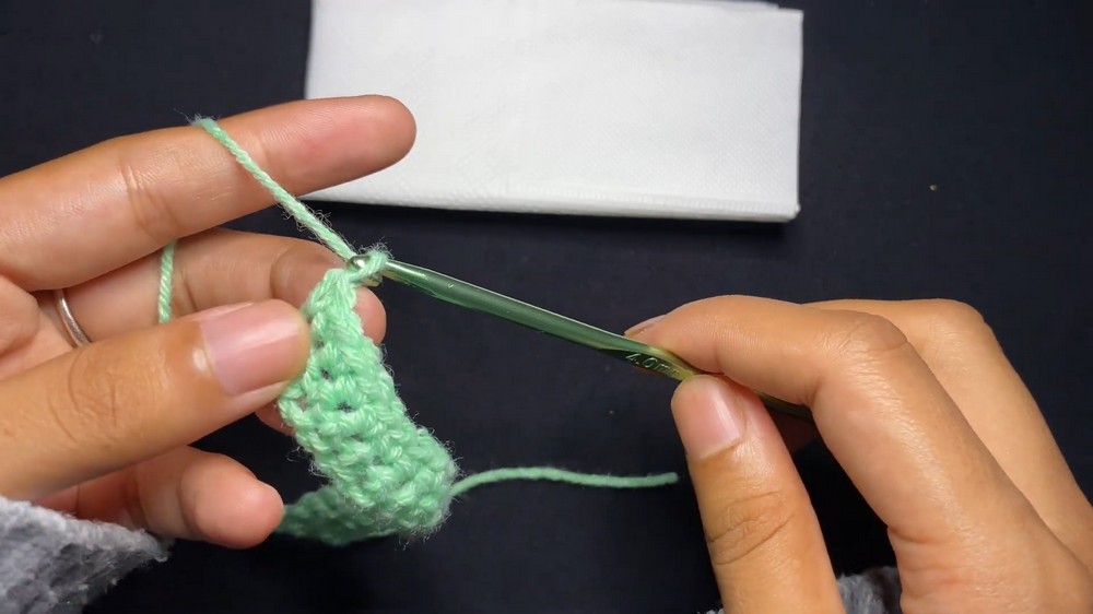 Crochet Frog Tissue Pouch step 2
