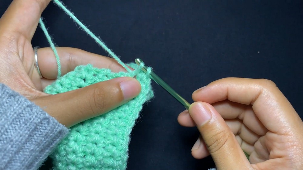 Crochet Frog Tissue Pouch step 3