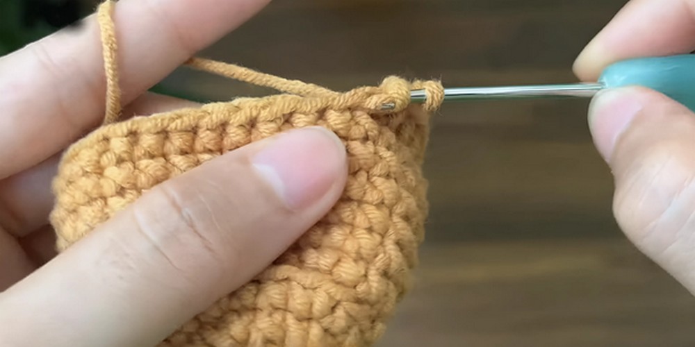 Crochet Mini Tulip Pot step 2