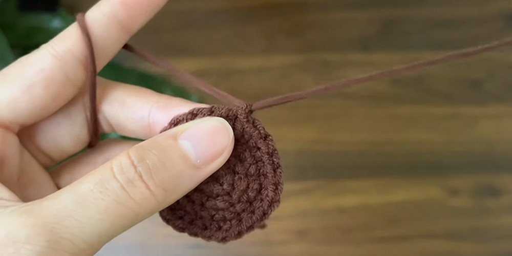 Crochet Mini Tulip Pacot step 3