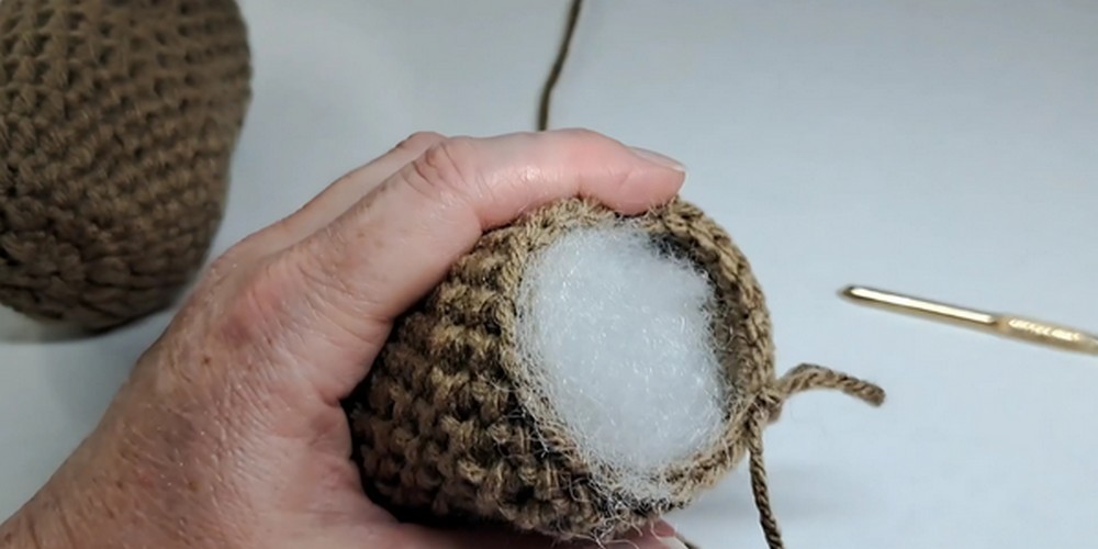 Crochet Positive Pacotato step 4