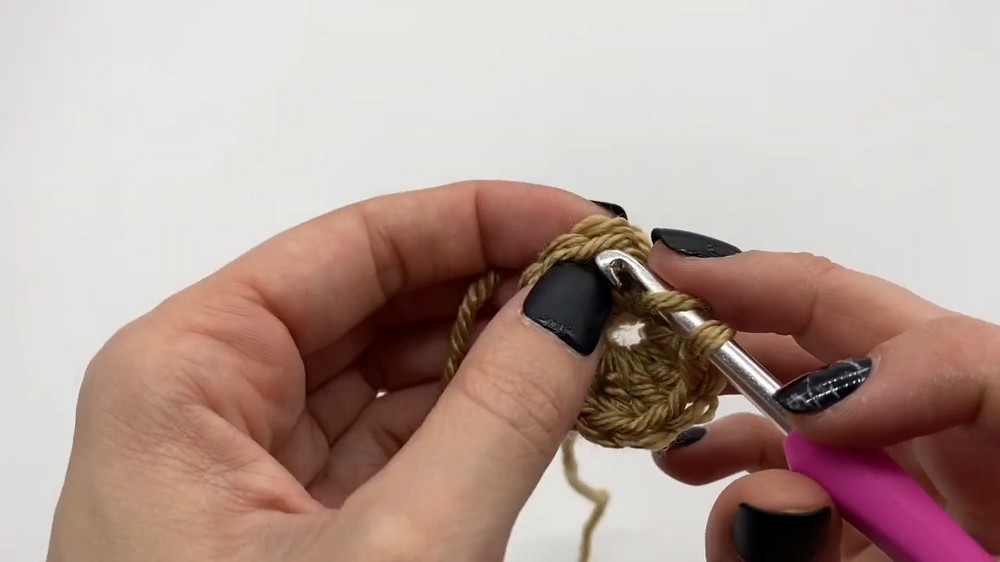 Crochet Toilet Paper Cover step 1