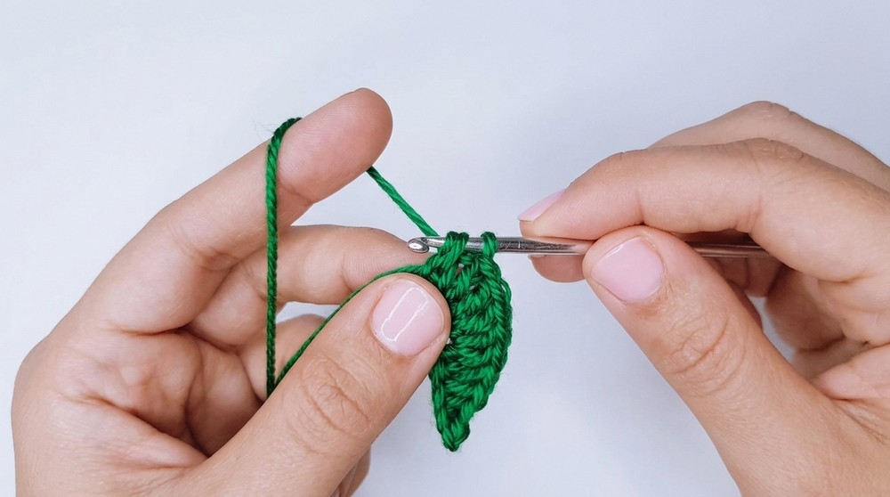 How to Crochet a Cute Cherry Amigurumi Step by Step Crochet Cherry 7