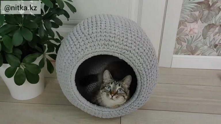 How to Crochet a Cat Basket Pattern for Stylish Pet Corners