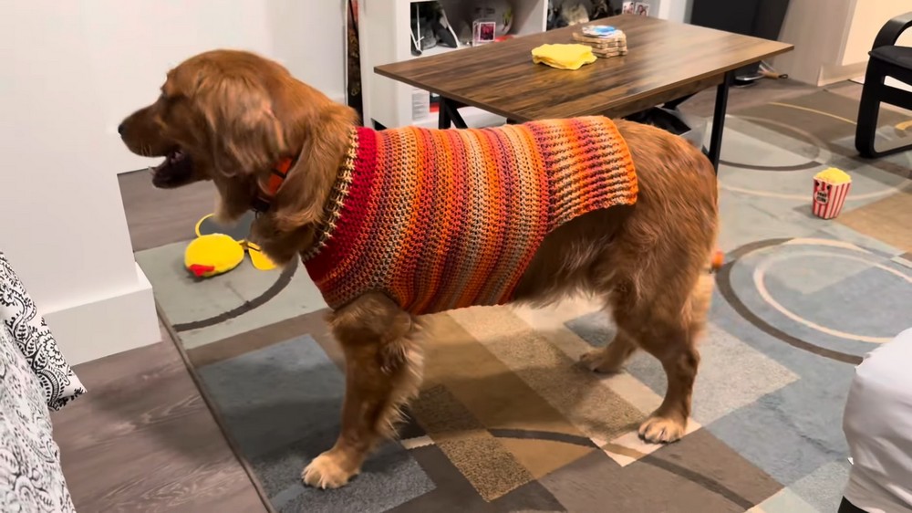 Crochet Dog Sweater Tutorial 11