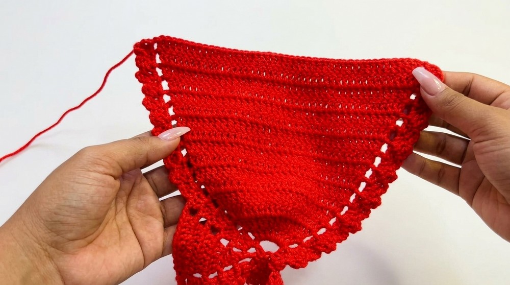 Crochet Butterfly Top Pattern 2
