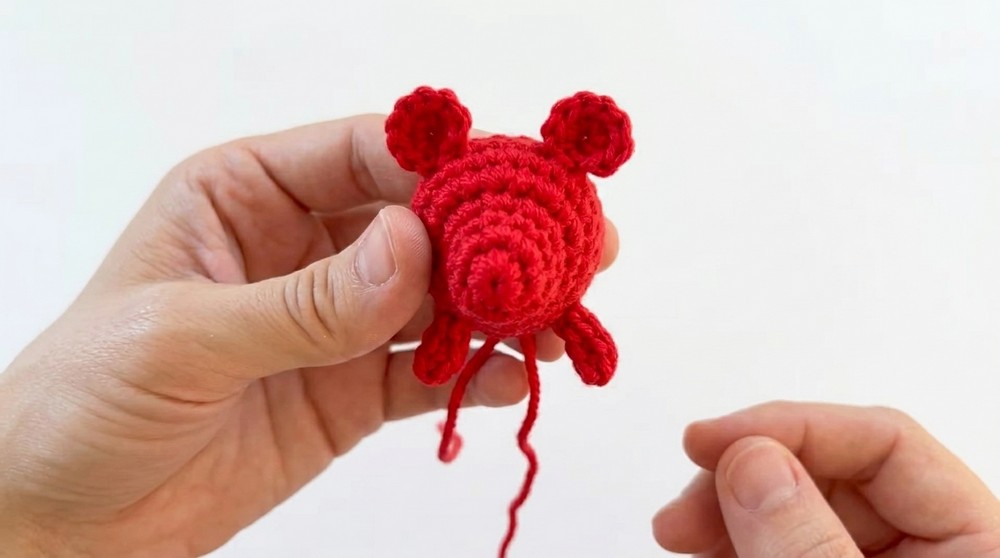 Crochet Capybara Amigurumi Pattern 2