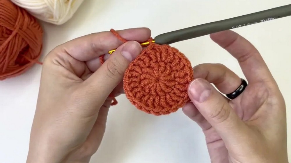 Crochet Coaster for Absolute Beginners ☕ Step-by-Step Tutorial (5)