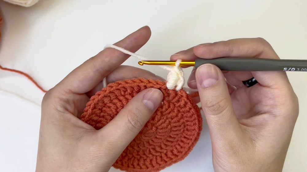 Crochet Coaster for Absolute Beginners ☕ Step-by-Step Tutorial (6)