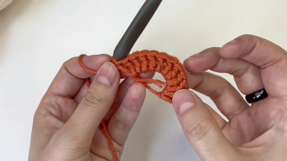 Crochet Pumpkin Pie Coaster Pattern 1