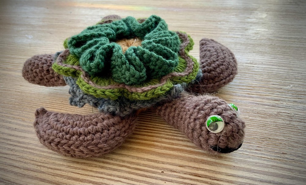 TURTEL “SIMI” Turtle🐢 with FLOWER 10