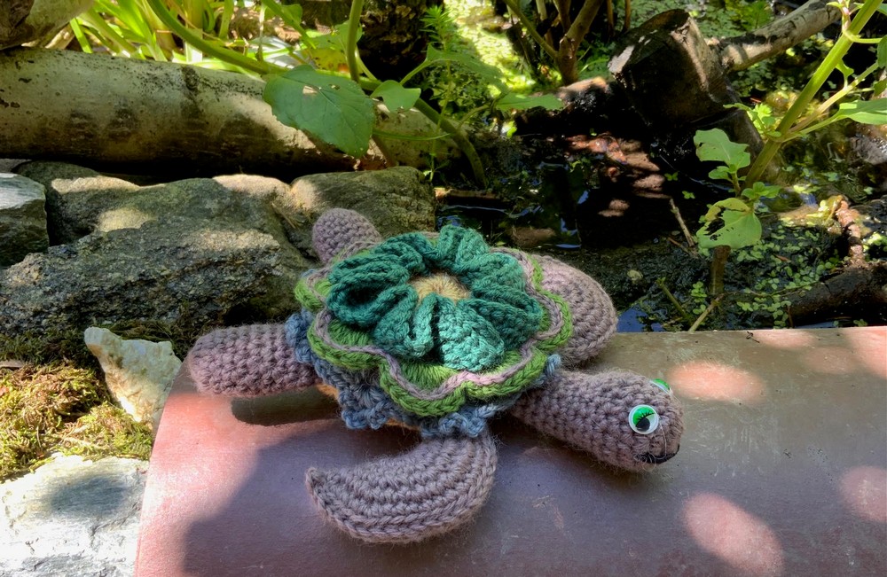 TURTEL “SIMI” Turtle🐢 with FLOWER 8
