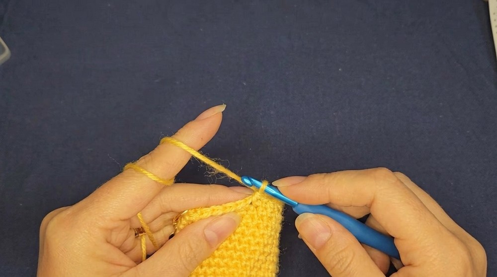 Easy Pencil Crochet Pattern for Beginners (8)