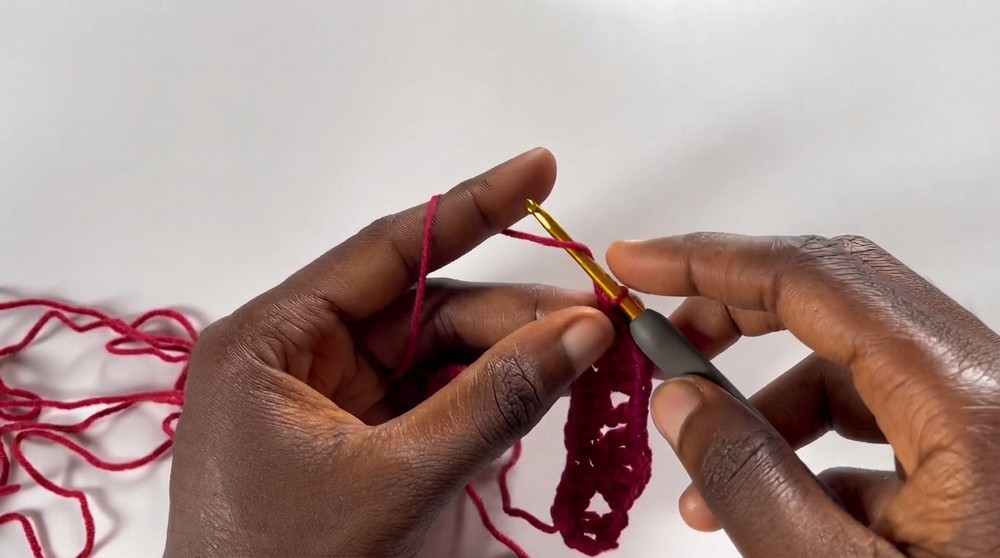 Easy Crochet Lacy Shell Stitch Pattern for Beginners (6)