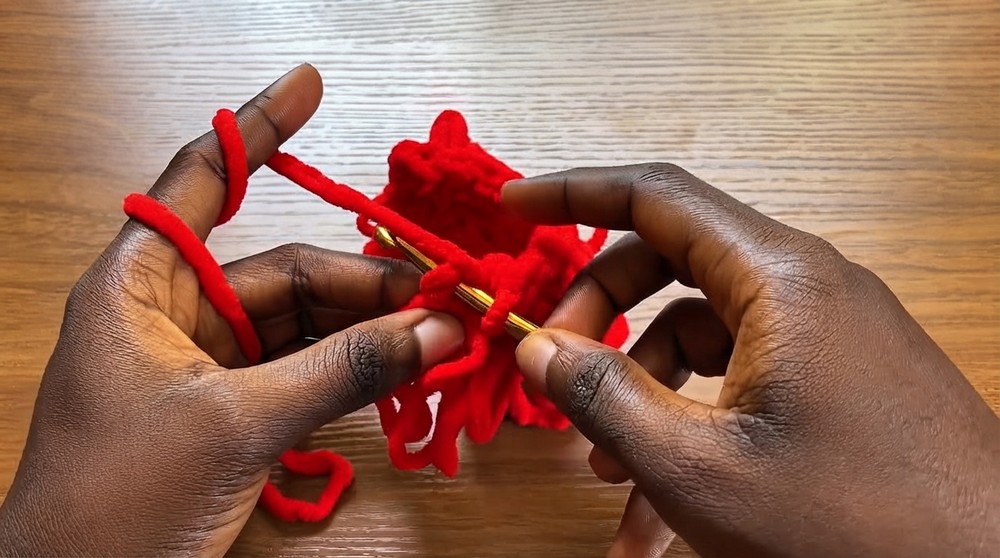 How to Crochet the Loop Stitch (4)